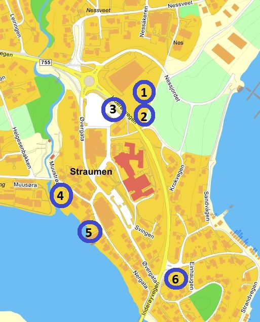 forslag til navn forslag til navn